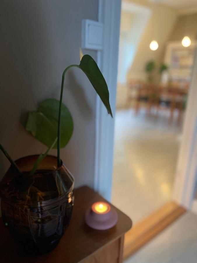 Charming Apartment In Alesund Center With Free Parking Екстериор снимка